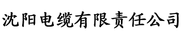 小雷与素琴第二次电缆厂logo